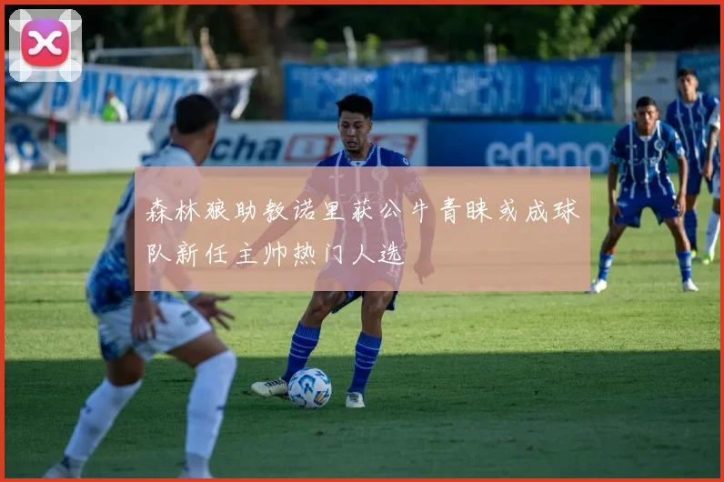 森林狼助教诺里获公牛青睐或成球队新任主帅热门人选