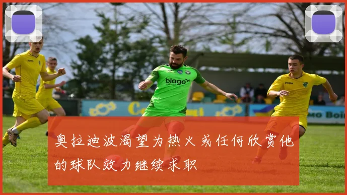 奥拉迪波渴望为热火或任何欣赏他的球队效力继续求职