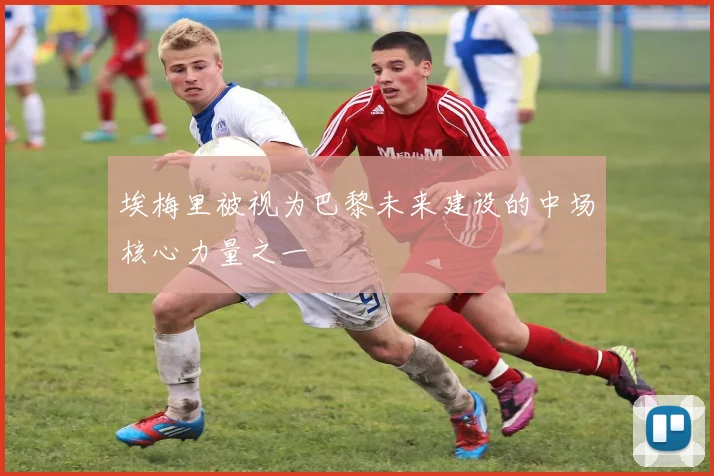 埃梅里被视为巴黎未来建设的中场核心力量之一