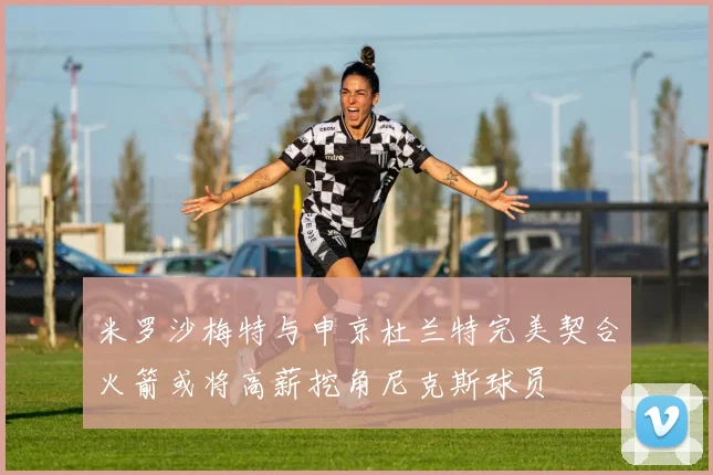 米罗沙梅特与申京杜兰特完美契合火箭或将高薪挖角尼克斯球员